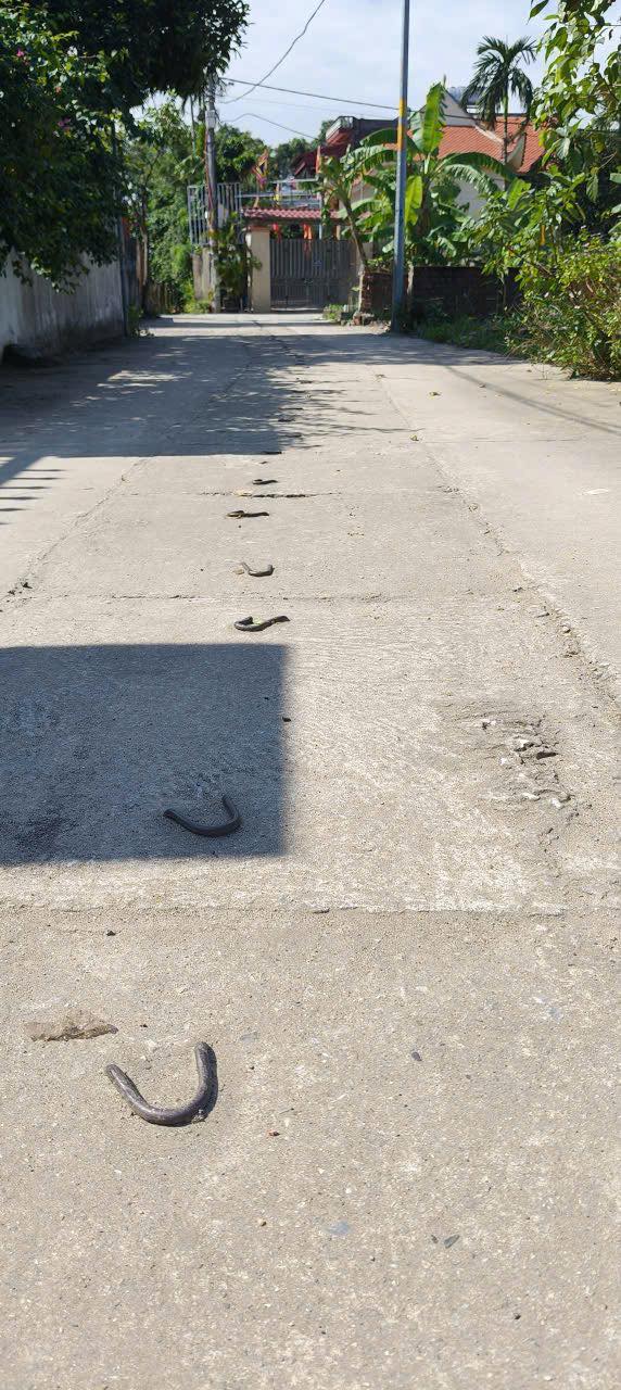 Đất nền Quang Minh Mê Linh 50m² giá 2.9 tỷ - Cơ hội sở hữu hiếm có!