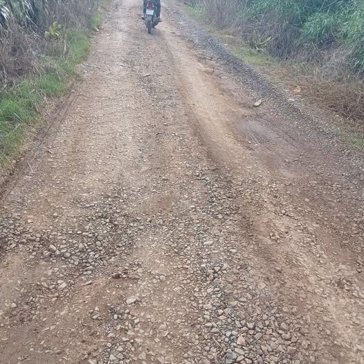 Đất vườn 8 sào tại xã Hòa Bắc, Di Linh - Giá chỉ 2.5 tỷ VND!