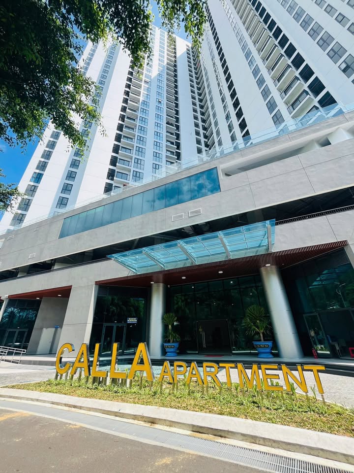 Căn hộ The Calla Quy Nhơn 37m² giá 1.238 tỷ - Vị trí đắc địa, tiện ích đầy đủ!