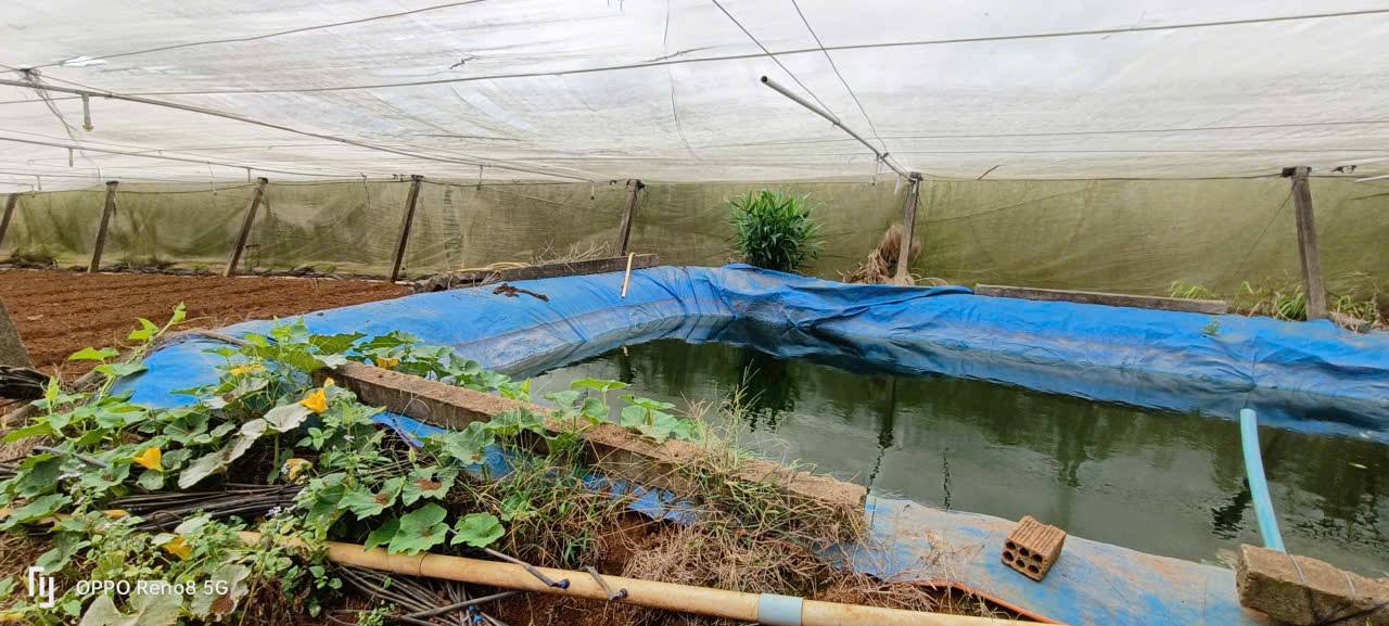 Đất 4152m² tại Ka Đô, Đơn Dương, Lâm Đồng - Giao thông thuận tiện, giá chỉ 4,2 tỷ!