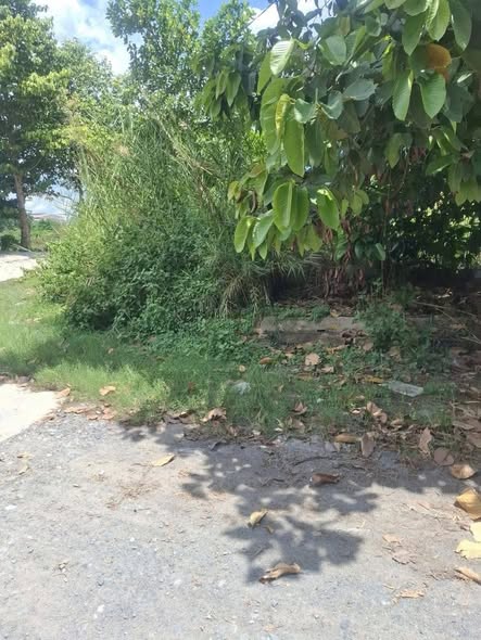 Đất nền lô góc KDC 135 Bến Lức 176m² giá 3.9 tỷ - Cơ hội đầu tư hấp dẫn!