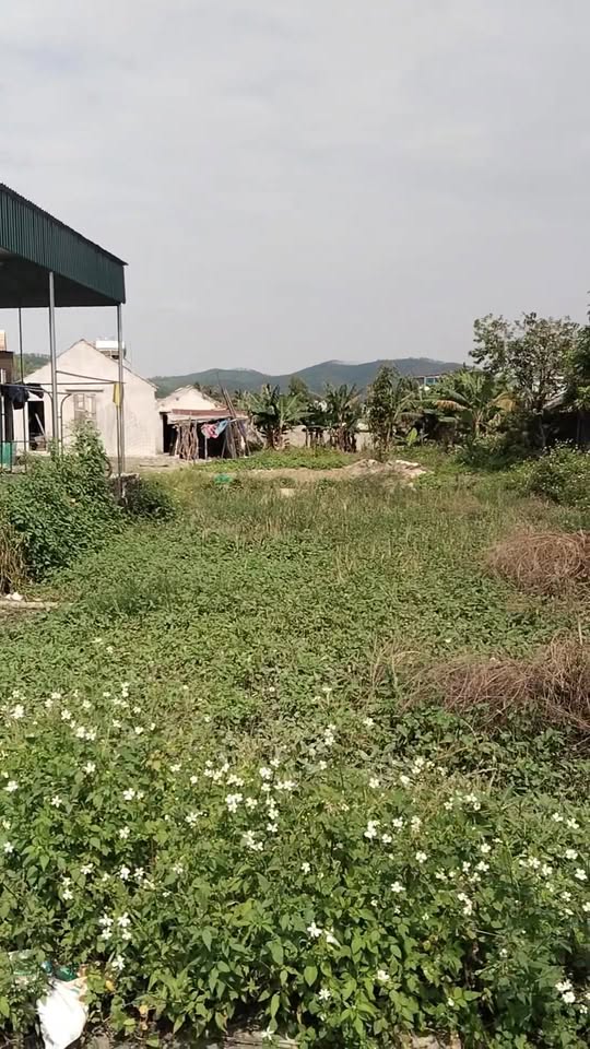 Đất nền Diễn Lâm, Diễn Châu 192m² - Gần sân bóng và trường học, giá thỏa thuận!