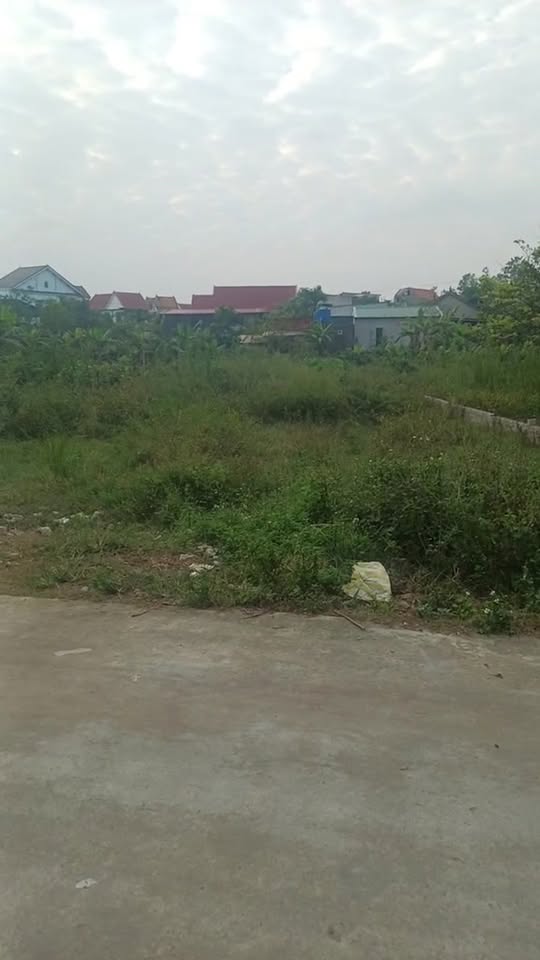 Đất thổ cư 234m² tại Tân Tiến, Hoàng Mai - Giá chỉ 800 triệu!