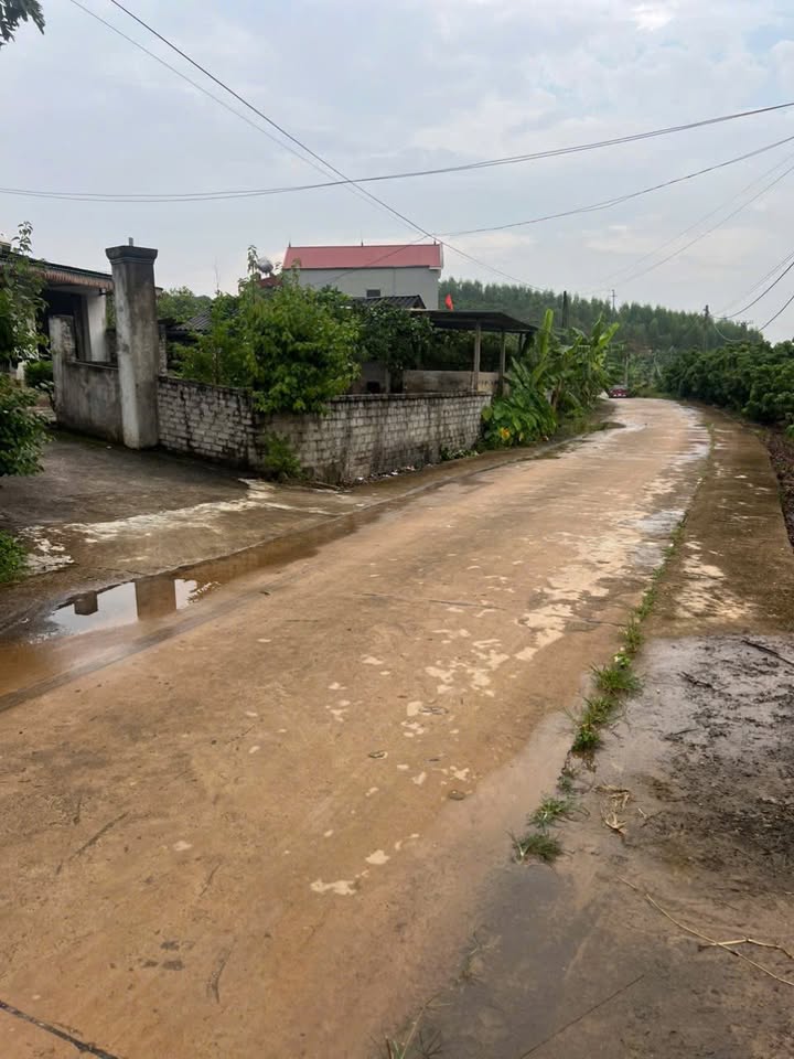 Đất nền Tân Lập Lục Ngạn 3.063m² giá rẻ - Cơ hội đầu tư hấp dẫn!