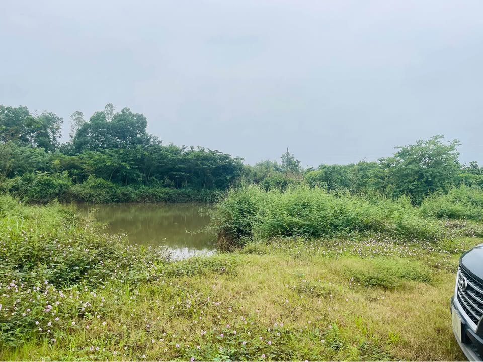 Đất nền Hòa Sơn Lương Sơn 3000m² giá chỉ 9 tỷ - Đầu tư sinh lời tuyệt vời!