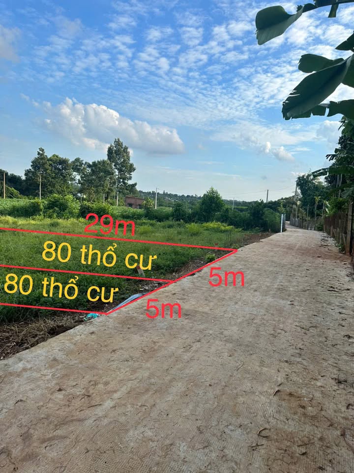 Đất nền Ngãi Giao, Châu Đức 145m² giá 580 triệu - Cơ hội đầu tư tuyệt vời!