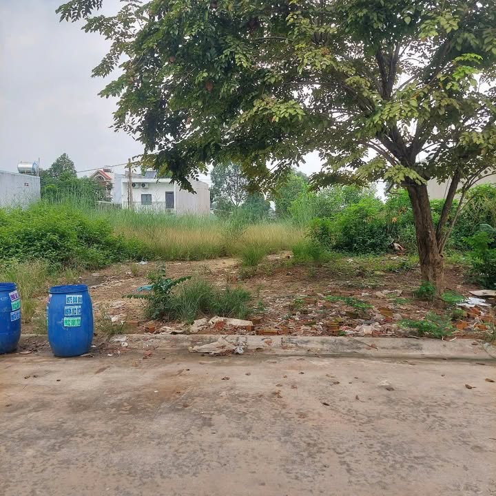 Đất thổ cư 150m² đường NI13, Bến Cát, Bình Dương chỉ 1.7 tỷ - Đầu tư sinh lời cao!