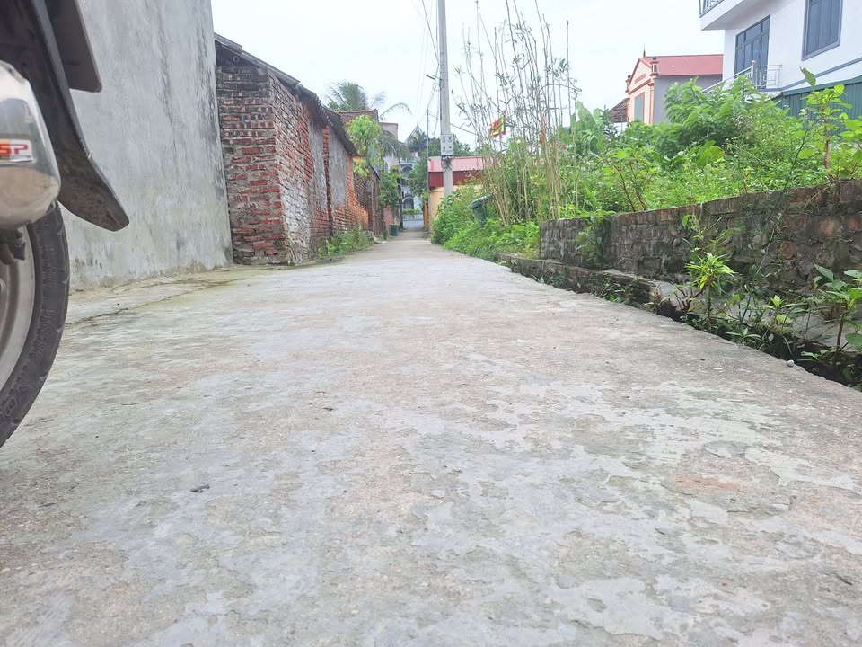 Đất nền Thường Vũ An Bình 55m² giá 1.2 tỷ - Cơ hội đầu tư hiếm có!