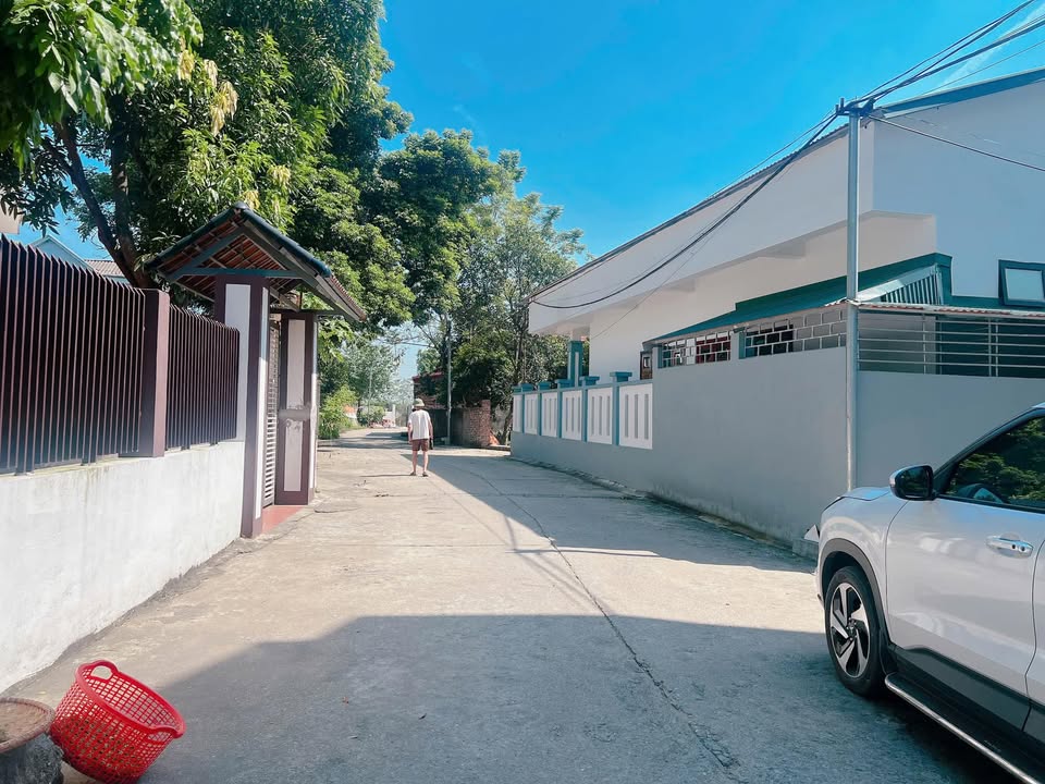 Đất thổ cư 100m² đường Tản Viên, Phường Dữu Lâu, giá 1.3 tỷ - Cơ hội đầu tư hấp dẫn!