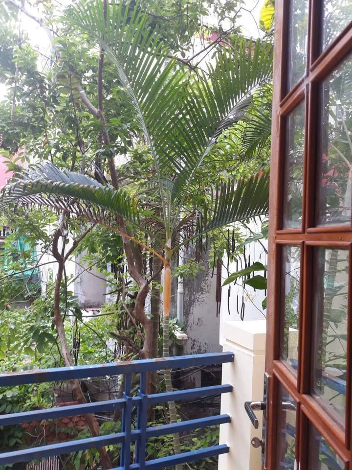 Nhà riêng cho thuê tại Ngọc Hà, Ba Đình 65m² giá 19.2 triệu - Không gian sống lý tưởng!