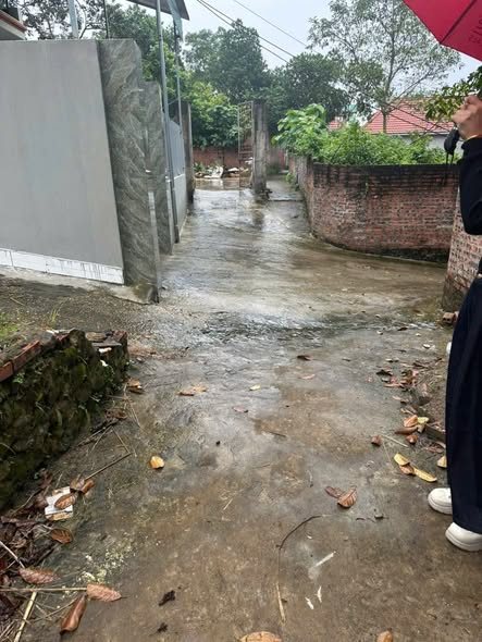 Đất thổ cư Phật Tích Tiên Du 97m² giá 900 triệu - Sổ hồng chính chủ!