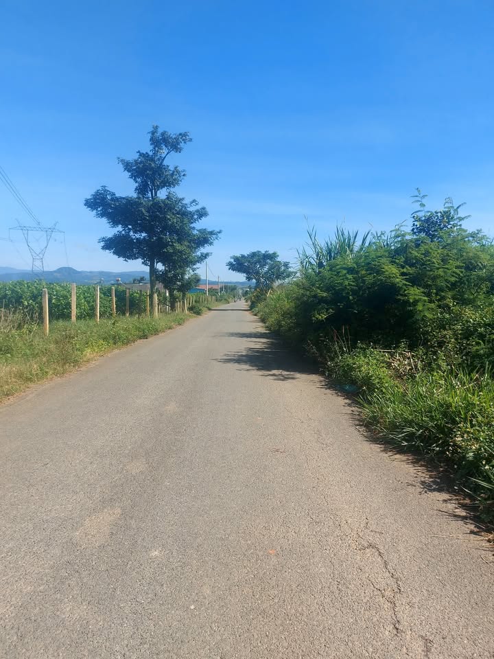 Đất nền mặt tiền đường Tân Văn, xã Đinh Văn Lâm Hà 1244m² - Đầu tư sinh lời ngay!