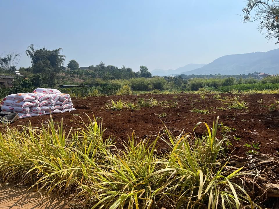 Đất nền Đông Thanh Lâm Đồng 1438m² giá 2.5 tỷ - Đầu tư sinh lời cao!