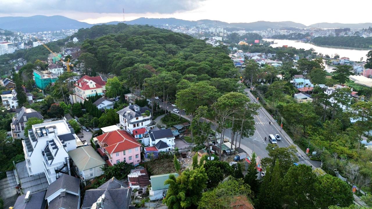 Đất xây dựng mặt tiền Trần Hưng Đạo, Đà Lạt 1193m² giá 85 tỷ - View rừng thông tuyệt đẹp!