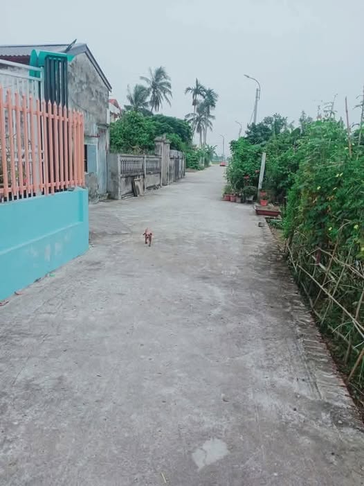 Đất thổ cư tại thôn Trung Am, xã Nguyễn Bỉnh Khiêm, 198m² chỉ 990 triệu - Mặt tiền đường ô tô tránh nhau!