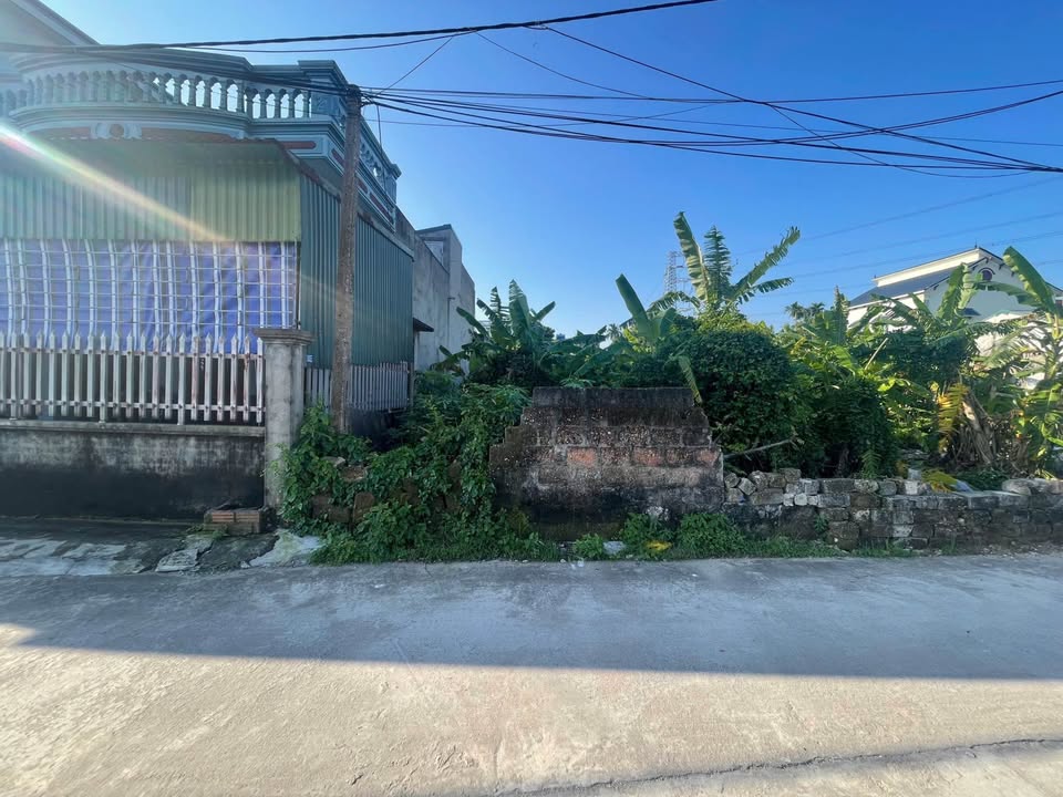 Đất nền Thanh Miện 139m² giá 1.39 tỷ - Đầu tư sinh lời ngay!