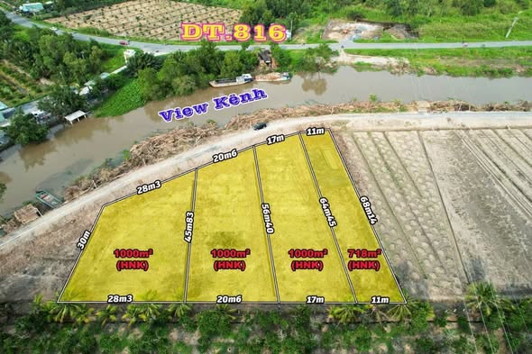 Đất vườn mặt tiền đường ĐT 816 xã Bình Đức, 500m² giá 800 triệu - Cơ hội đầu tư hiếm có!