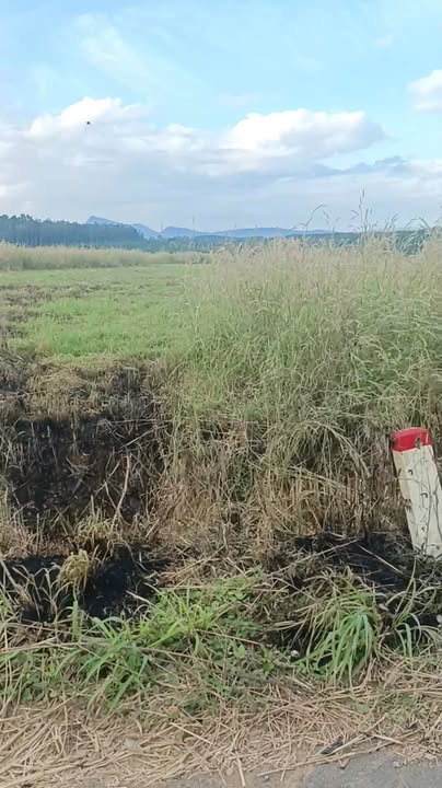 Đất nền EA Súp Đắk Lắk 1500m² giá 500 triệu - Cơ hội đầu tư tuyệt vời!