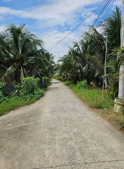 Đất nền xã An Hóa Châu Thành 529m² giá 900 triệu - Đường ô tô vào tận nơi!