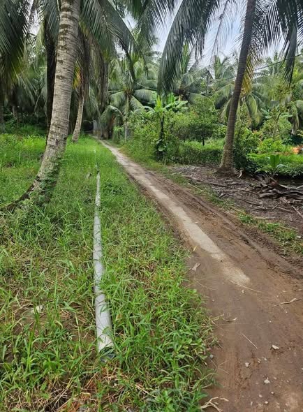 Đất nền Lộc Thuận Vĩnh Long 609m² giá 450 triệu - Sẵn sàng xây dựng ngay!