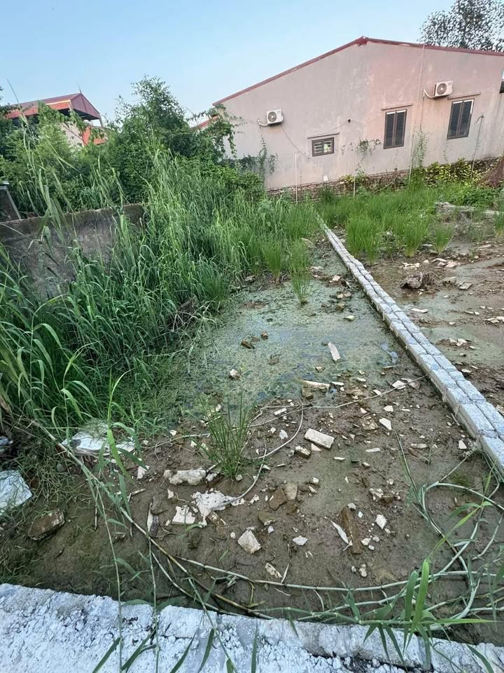 Đất nền Kim Đường, Ứng Hòa 70m² giá 1 tỷ - Phong thủy đẹp, đầu tư sinh lời!