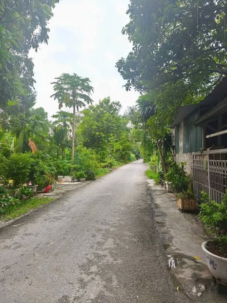 Đất nền Ỷ La, Tuyên Quang 97m² giá 2.1 tỷ - Vị trí đẹp, pháp lý rõ ràng!