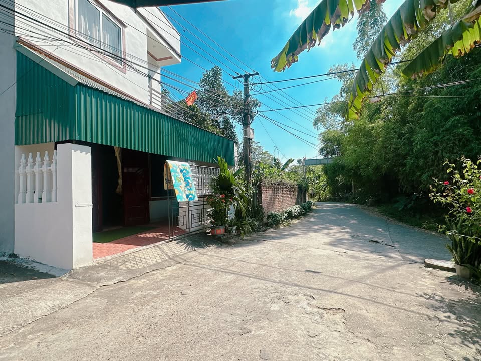 Đất chính chủ Nông Trang, Việt Trì 100m² giá 1.3 tỷ - Đường thông tứ phía, vị trí đắc địa!