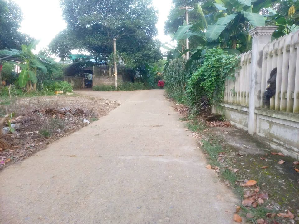 Đất nền chính chủ tổ 11 An Tường 360m² giá 2 tỷ - Sổ đỏ đầy đủ!