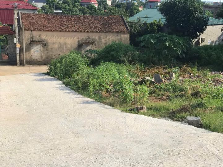 Đất nền 2 mặt tiền tại Đồng Việt, Yên Dũng 100m² giá chỉ 600 triệu - Cơ hội đầu tư tuyệt vời!