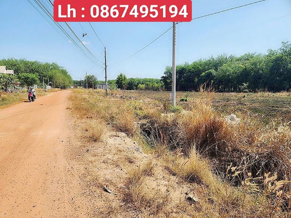 Đất sào Tân Phú 1000m² giá 270 triệu - Đầu tư sinh lời ngay!