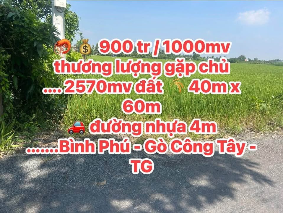 Đất nền Gò Công Tây 2570m² giá 900 triệu - Cơ hội đầu tư hấp dẫn!