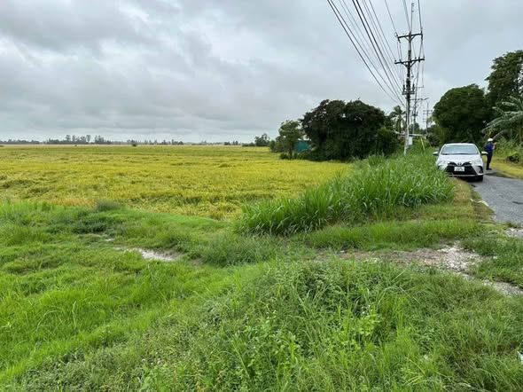 Đất nông nghiệp Thoại Giang 256000m² giá 4.48 tỷ - Cơ hội đầu tư hiếm có!