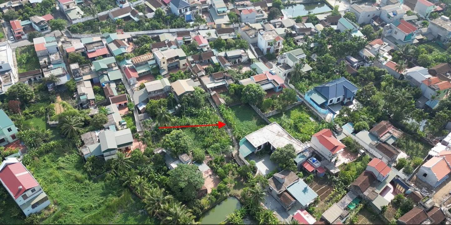 Đất nền chính chủ Hoằng Quỳ 305m² giá 1.4 tỷ - Đường ô tô vào thoải mái!