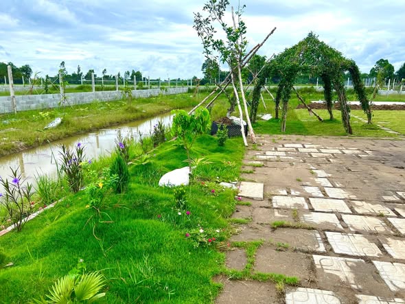 Đất vườn 1.600m² Gò Dầu - Tây Ninh giá chỉ 1.6 tỷ - Sổ hồng riêng