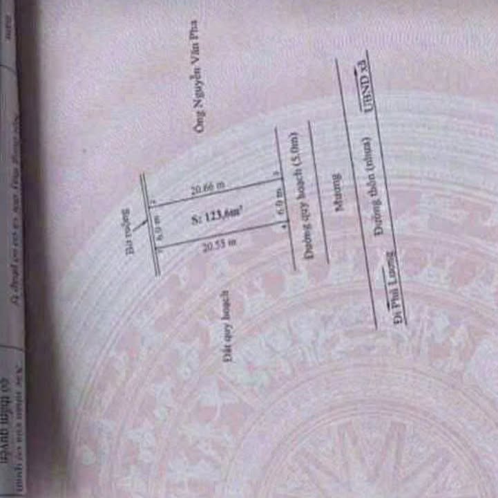 Đất đấu giá Cấp Tiến, Tiên Lãng 123,6m² - Đầu tư sinh lời tiềm năng!