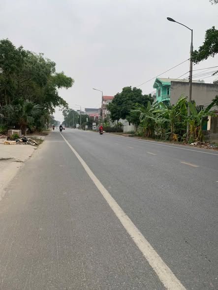 Đất thổ cư mặt tiền 295 - Thị trấn Bắc Lý, Hiệp Hòa, Bắc Giang 114m² - Kinh doanh sầm uất!