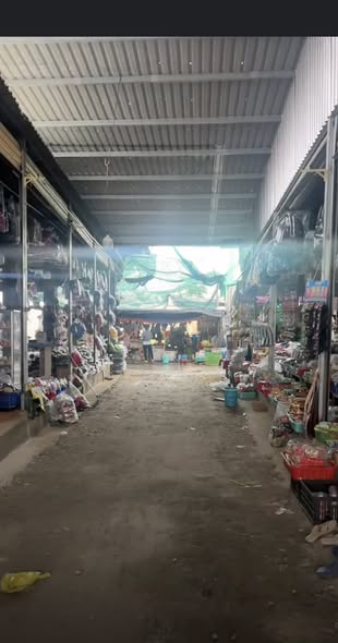 Đất thổ cư ấp Mới 2, Mỹ Hạnh Nam, 155m² chỉ 1.6 tỷ - Cơ hội đầu tư tuyệt vời!