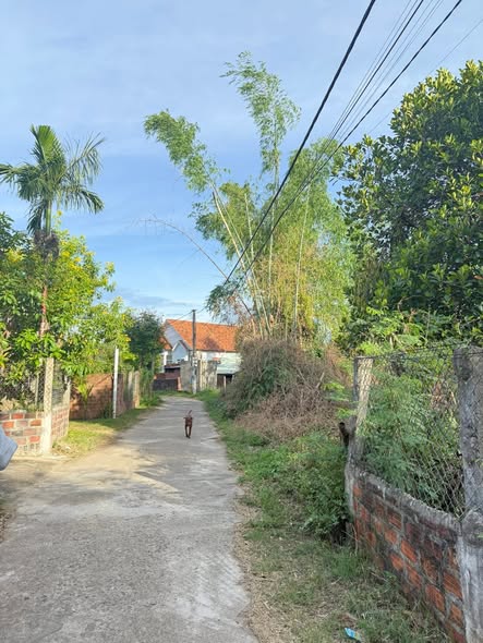 Đất nền Kiều An, Cát Tân, Phù Cát 160m² giá 299 triệu - Đầu tư sinh lời ngay!