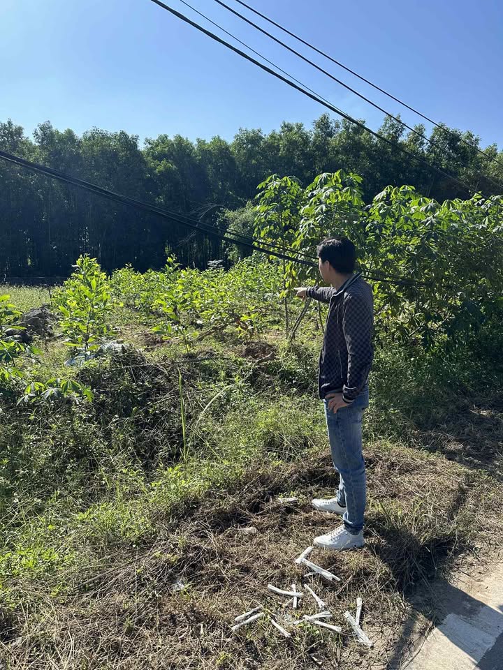 Đất thổ cư Kha Sơn - Phú Bình 243m² - Vị trí đẹp, thuận lợi giao thông!