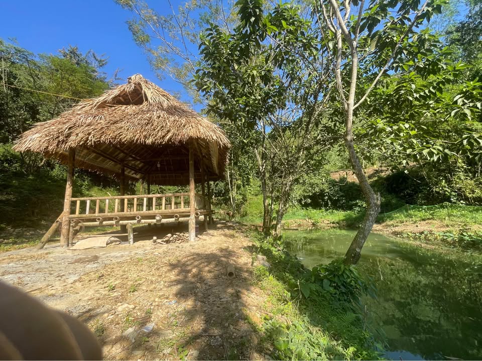 Farm Nật Sơn Phú Thọ 70.000m² giá 490 triệu - Cơ hội đầu tư nghỉ dưỡng hiếm có!