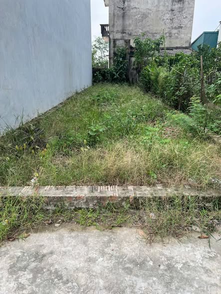 Đất nền Quang Minh, Mê Linh 76m² giá chỉ 50 triệu - Đầu tư sinh lời cao!