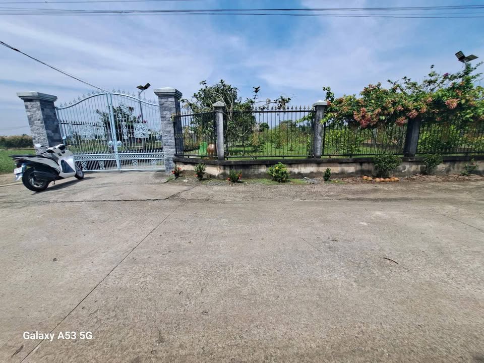 Farm tại An Nhựt Tân, Tân Trụ 7200m² giá 15.6 tỷ - Đầu tư sinh lời ngay!