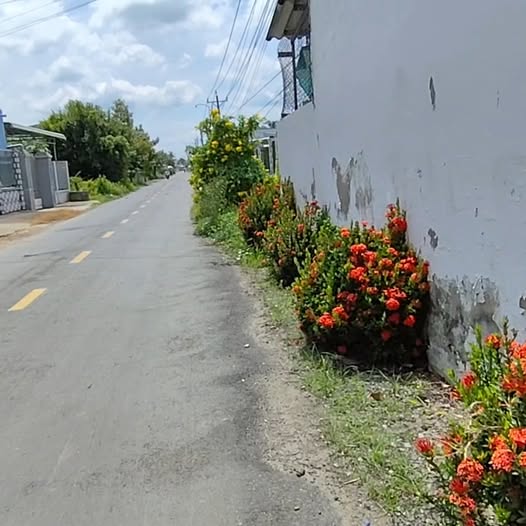 Nhà vườn Gò Công Tây 424m² giá 1.8 tỷ - Mặt tiền đường sầm uất!