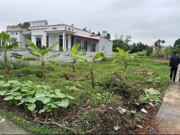 Đất nền Minh Tân Kiến Thụy 138m² giá hợp lý - Cơ hội đầu tư tuyệt vời!