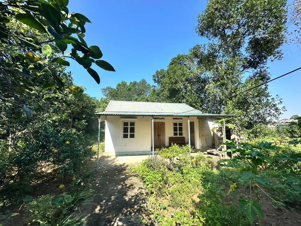 Đất thổ cư 410m² tại tổ 9 Dân Chủ, giá 2 tỷ - Phù hợp làm vườn, nuôi gà!