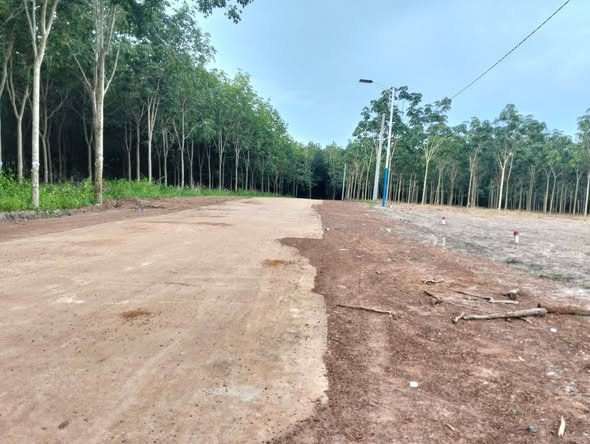 Đất nền Minh Thắng, Chơn Thành 100m² giá 360 triệu - Sổ đỏ chính chủ, đầu tư sinh lời!