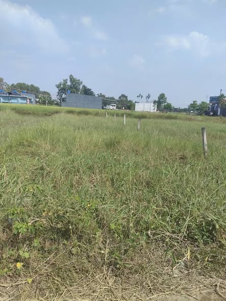 Đất nền 140m² tại Mỹ Hạnh Nam, Đức Hòa - Sổ hồng chính chủ, giá thỏa thuận!