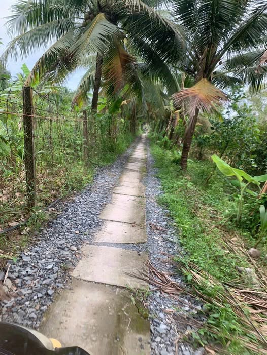 Đất nền Phước Mỹ Trung 500m² giá chỉ 290 triệu - Tiềm năng đầu tư lớn!