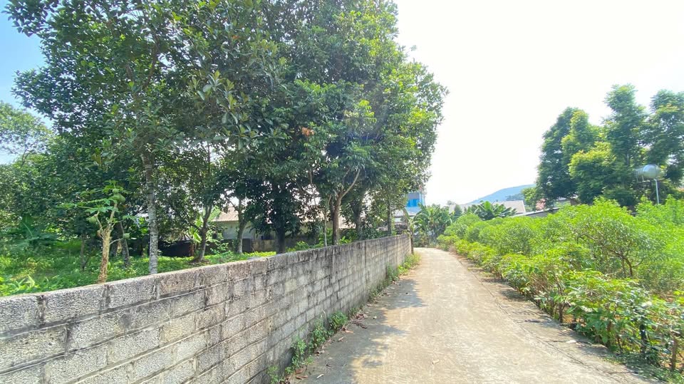 Đất Kim Sơn, Sơn Tây 400m² giá 7 triệu/m² - Đầu tư sinh lời ngay!