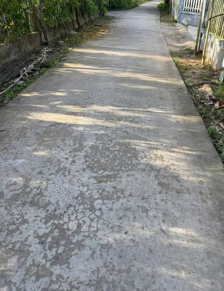 Đất nền Phước Mỹ Trung, Mỏ Cày Bắc, 500m² giá 745 triệu - Đầu tư sinh lời ngay!